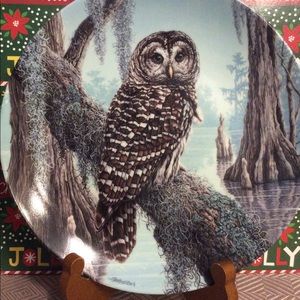 Vintage Owl plate